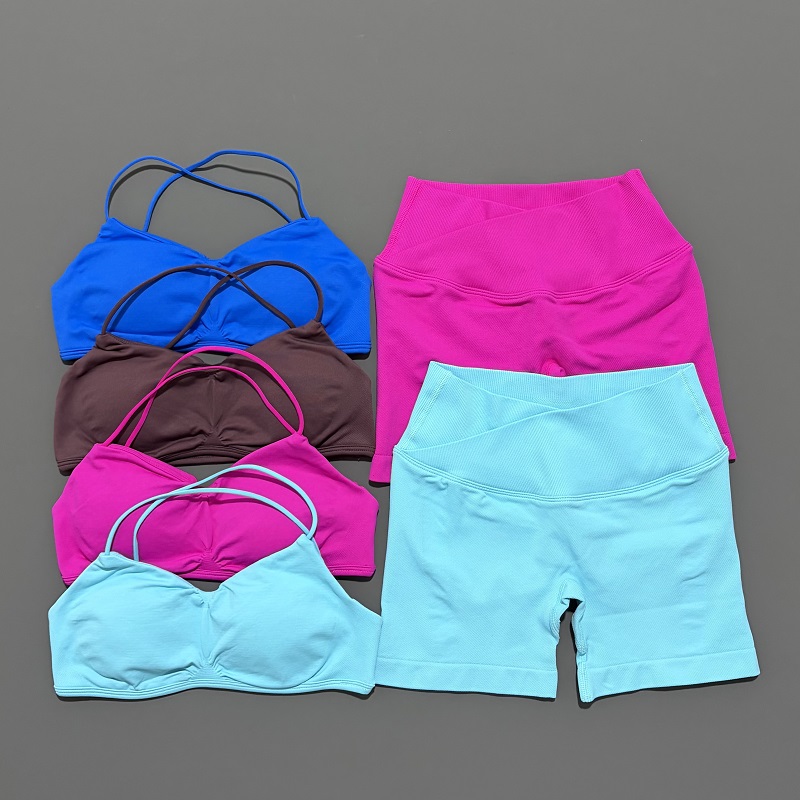 2 Piece Vision Gym Set Women Y - Bra Top Seamless review and price