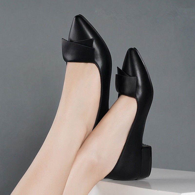 Pointed Toe Low Heel Elegant L - Women'S Fashion Quick Delivery review and price