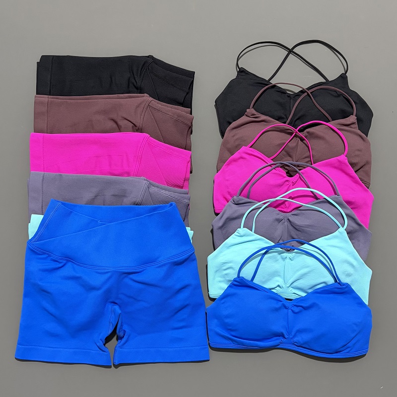 2 Piece Vision Gym Set Women Y - Bra Top Seamless review and price